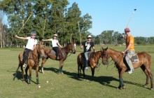 polo3