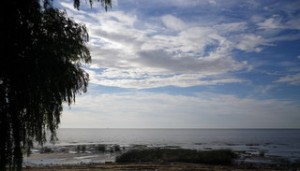 Rio de la Plata, San Isidro Day trip from Buenos Aires, San Isidro Riverside