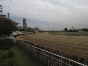 horse track in buenos aires cheap cool things to do in buenos aires