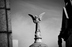 Recoleta cemetery buenos Aires Attractions