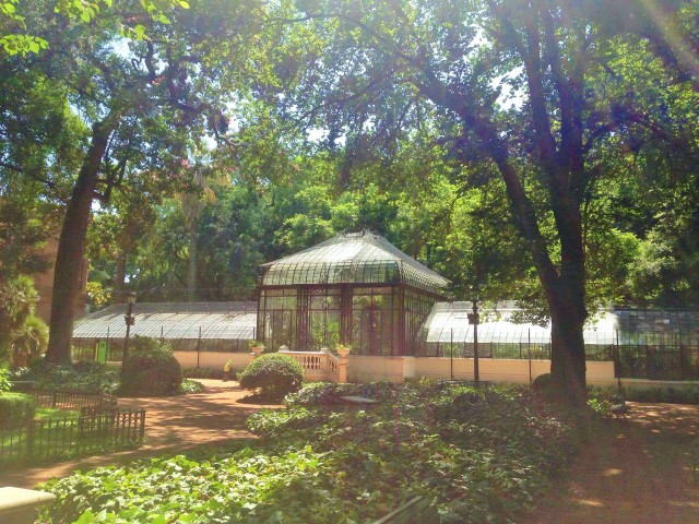 Botanical Garden buenos aires